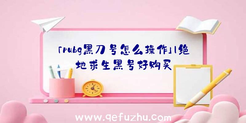 「pubg黑刀号怎么操作」|绝地求生黑号好购买